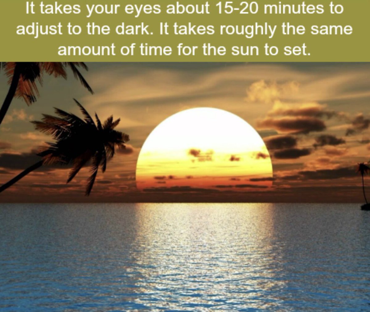 InViewOpticians's tweet image. #BelmontCircle #Harrow