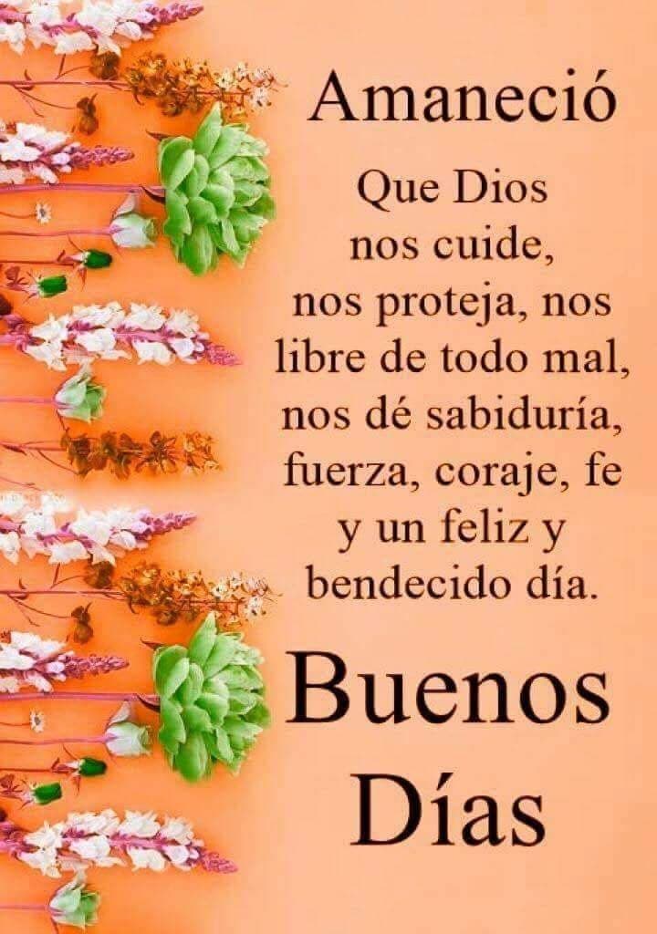 rosalesroch's tweet photo. @mhonividente https://t.co/lyIUzXZKQF