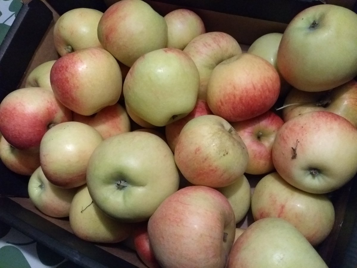 rubenkoman's tweet image. Kek da hei-je as ie bij je groente- en fruitfamilie in de waard kom. #cadeautje Iemand nog een appel? #Koman #dePil