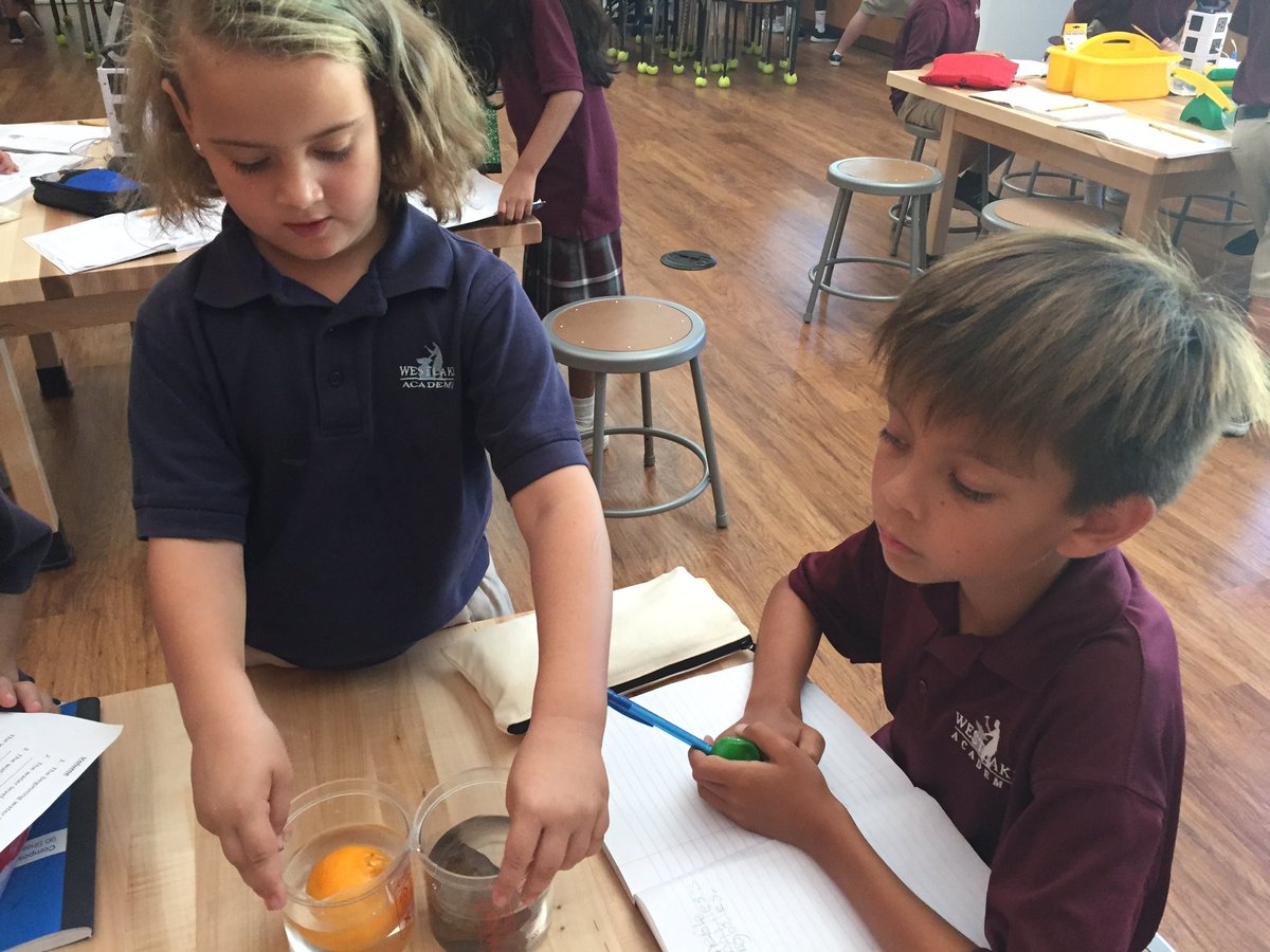 ibmisstitus's tweet photo. Tons of fun in the STEAM Lab learning all about mass! 🙌🏼 #waexcels #waobserveme #ibpyp #pypscience https://t.co/SwXSqRltFp