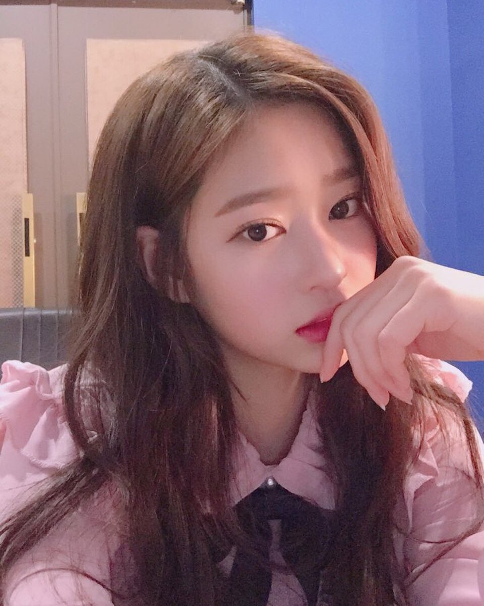 daily pd48 girls on Twitter: "in honor of today being the last pd48