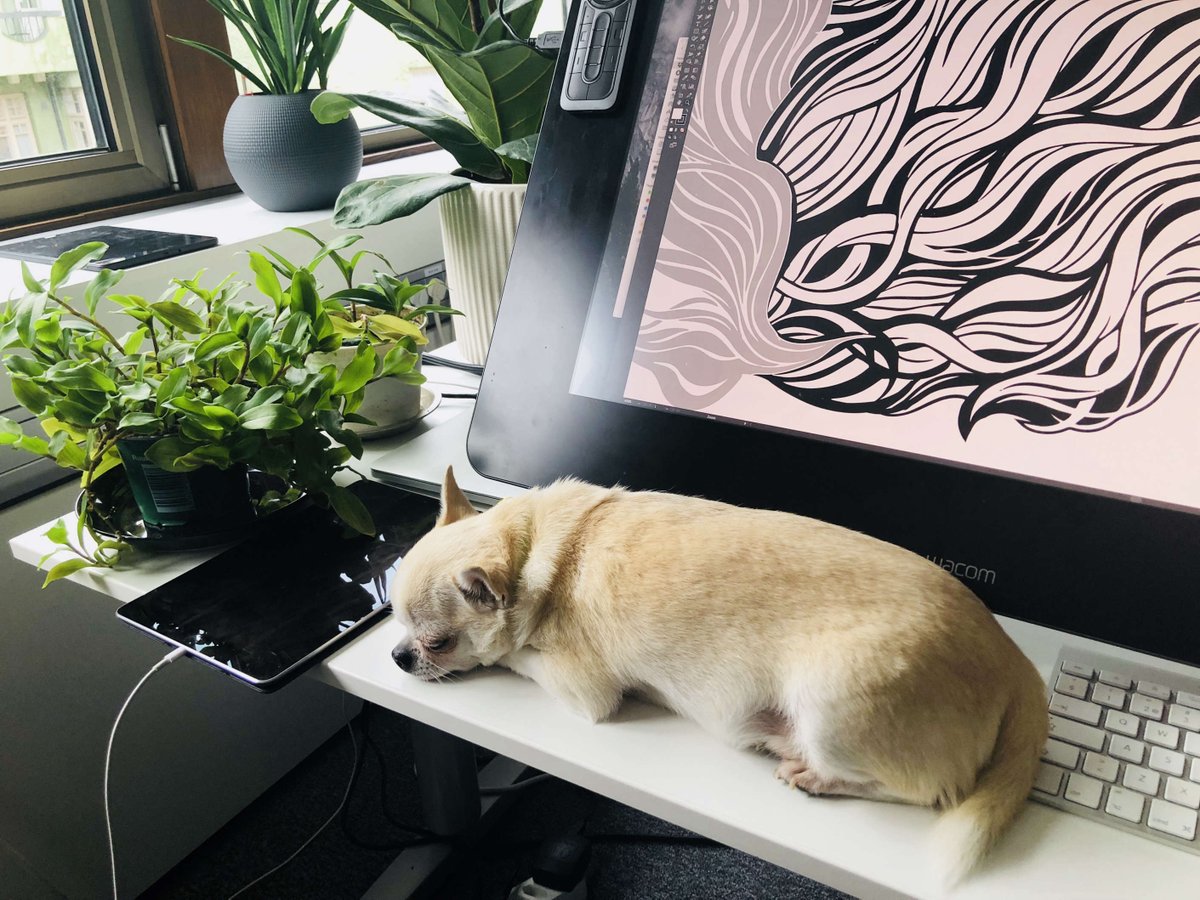 Our illustrators have been working hard today! Definitely time for the weekend. #GoodDog