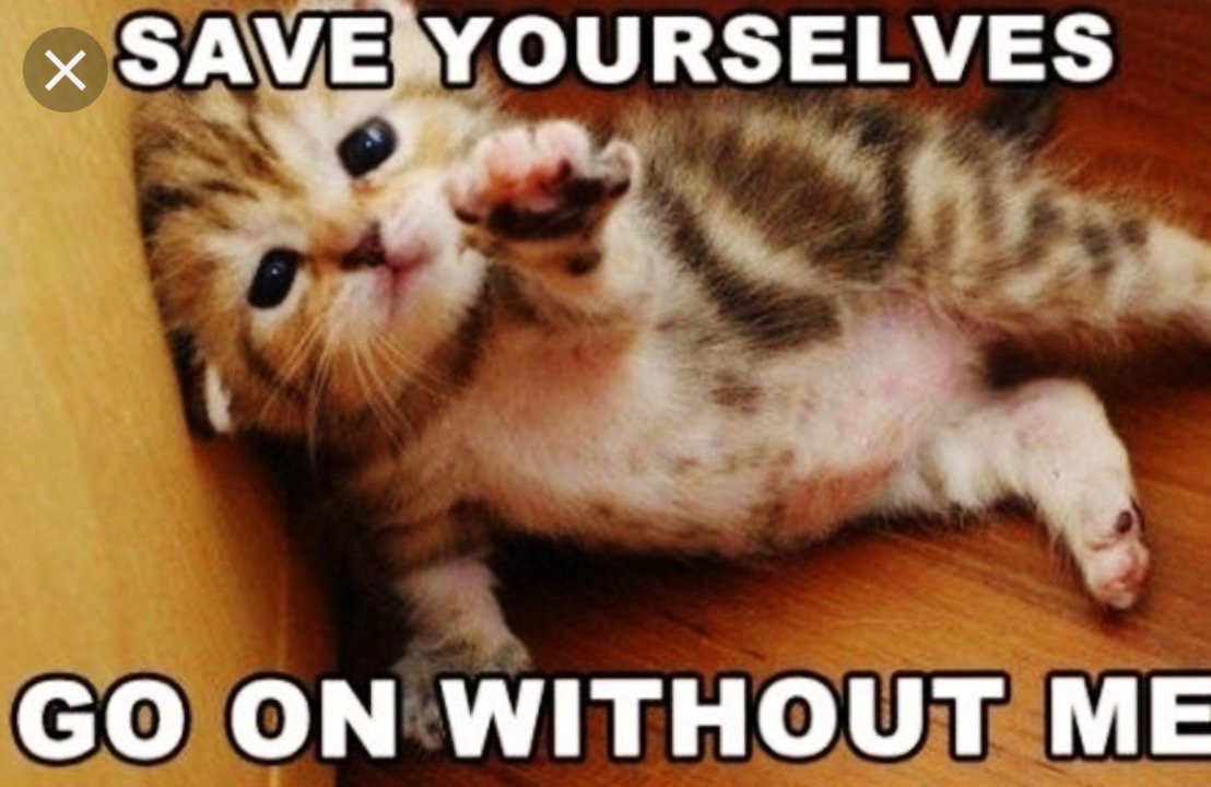 When Sunday Brunch with <a href="/charlesprotege/">Protégé</a> got a hold of you but you trying to be a good friend!! #freshretro #sundaybrunch