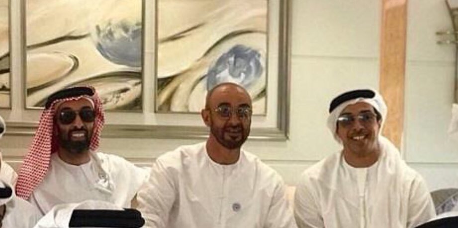 بروفيسور مصري عن أبناء زايد خنجر قذر ومسموم في ظهر كل حر وشريف وطن