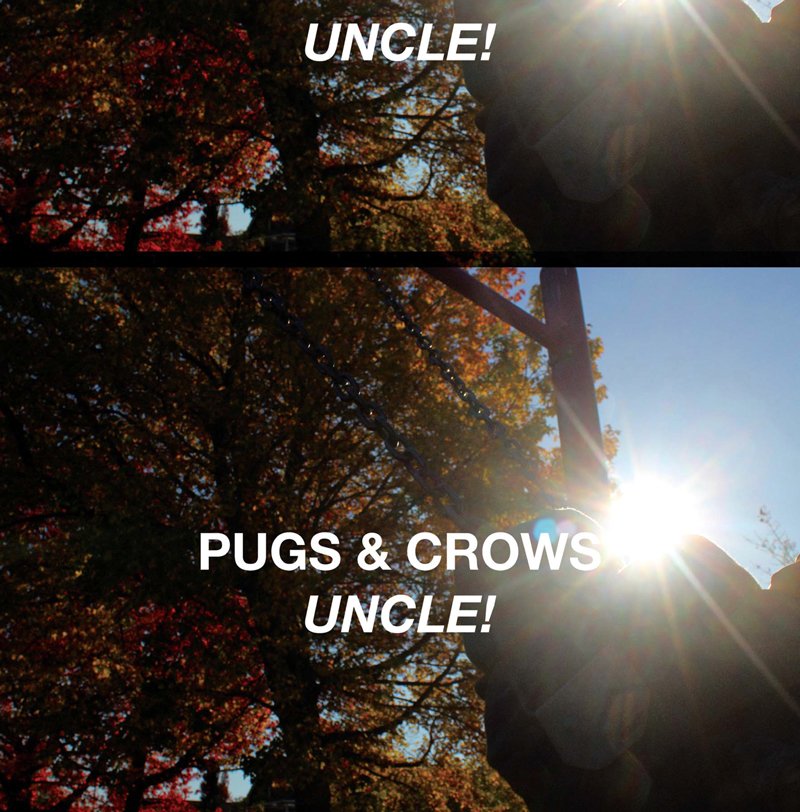 Pugs and Crows tweet media