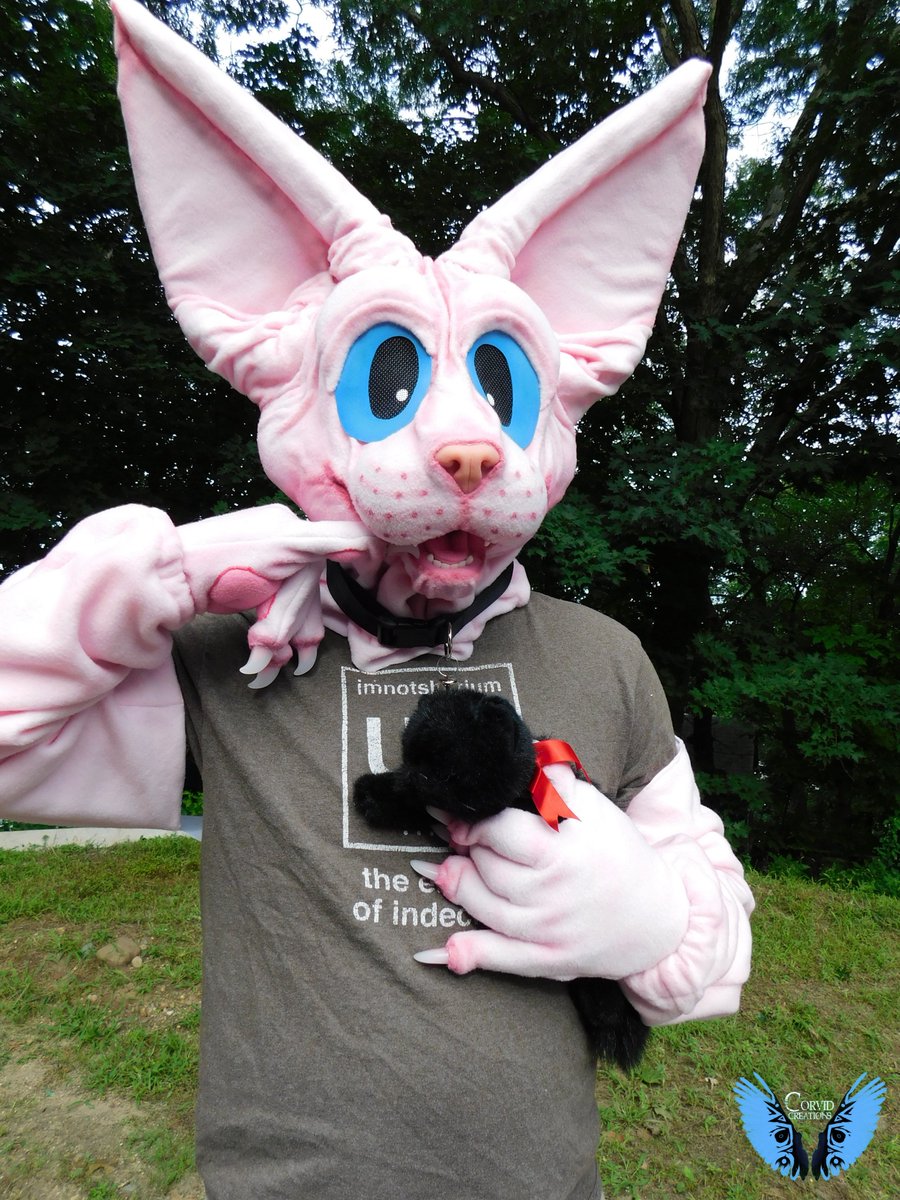 Hairless Cat Fursuit Best Cat Wallpaper