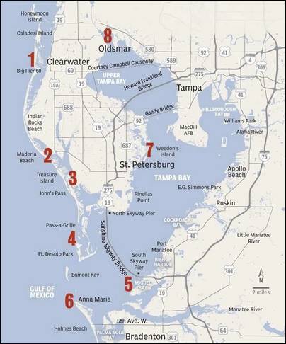 benth_roller's tweet photo. RT https://t.co/DXlxWpdjLR RT https://t.co/HfvOLbhbIG RT https://t.co/Y5CwLPl6aF For Shore Fishing | Central Florida Saltwater Fishing Report 8/17/18 #FishingReport #Sarasota #Fishing #Offsh… https://t.co/mAJ2Zed6lz