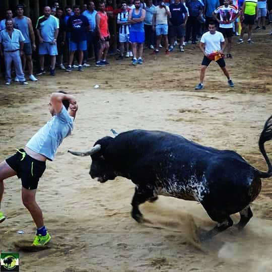 fandiles's tweet photo. Esparragosa 2018 !! https://t.co/0g4OZSDlQU
