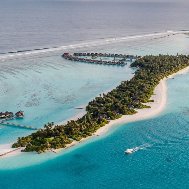 bookimaldives's tweet photo. #Maldives Spending few days in the beautiful Island of Nature's Playground Niyama Private Islands https://t.co/SJyBooCzQM