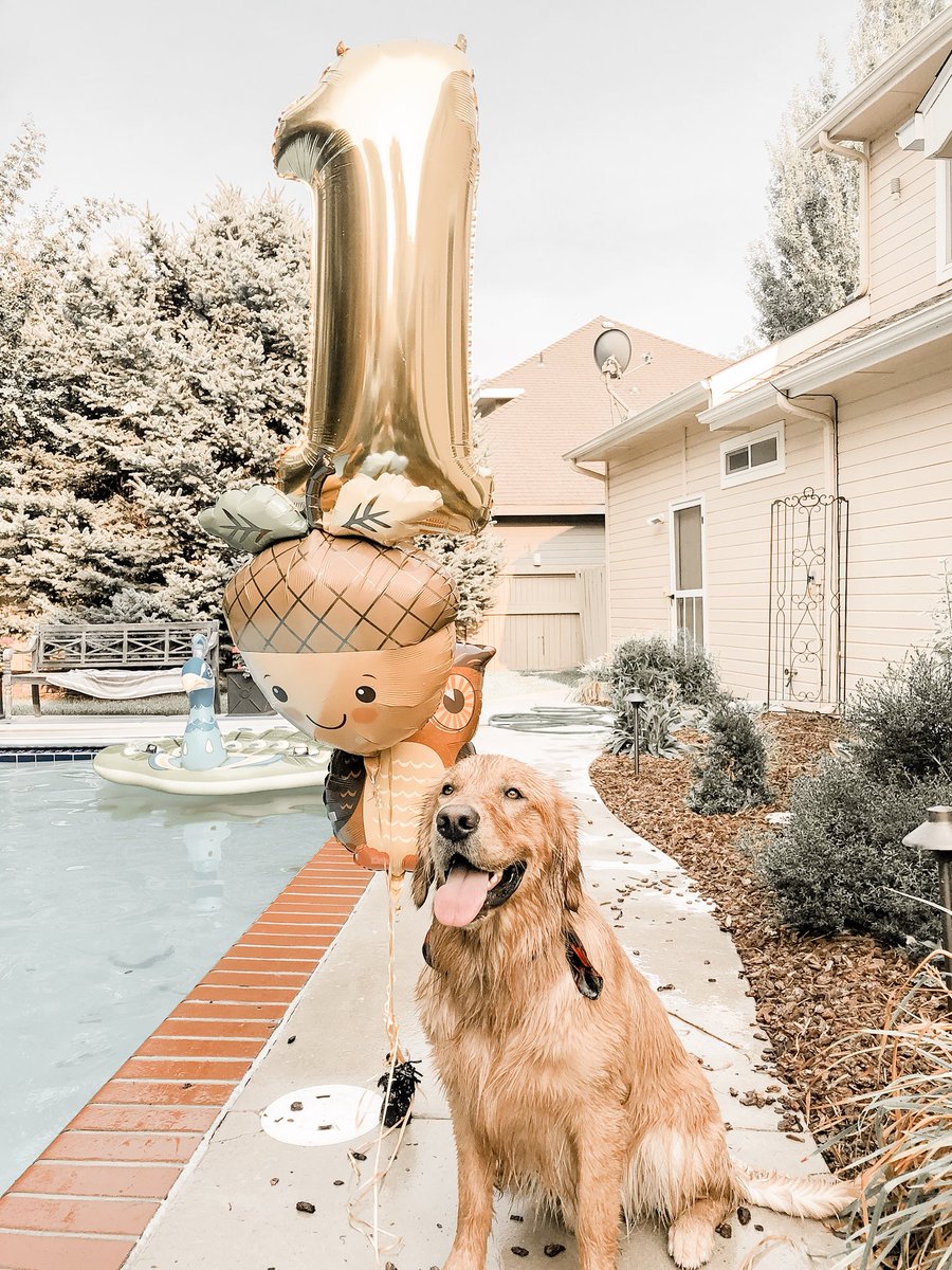 shelbyveggie's tweet image. Yooooo Finley’s first birthday was POPPIN #basicAF