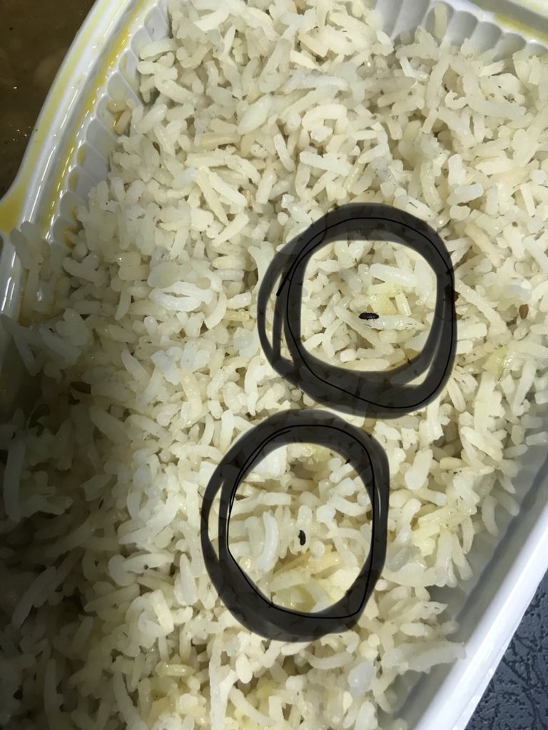 pawan_perfect's tweet photo. this type of food provides by Meals on Wheels , By IRCTC Indian railways with the amount of Rs.130/- # Please Share My dear Friends..! #IndianRailways #IRCRC @PiyushGoyal @narendramodi
#Husainsagarexpress #Mumbaicst_to_Hyderabad #Train_ka_khana_kabhi_nahi https://t.co/rvSnLxHkY2