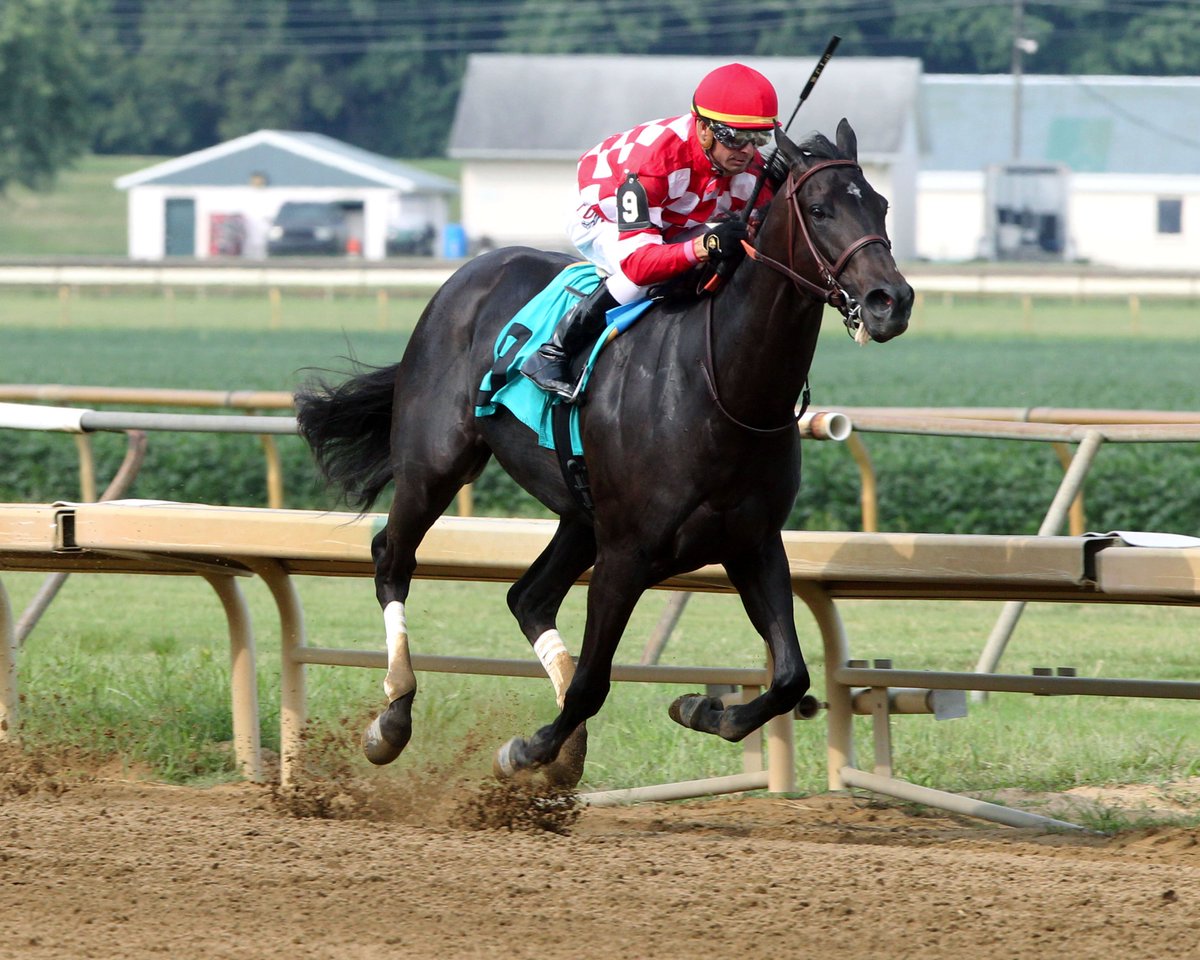 Sozdanie Dokumentov S Pomoshyu Sredstv Tekstovogo Processora Ms Sozdanie Dokumentov S Pomoshyu Sredstv Tekstovogo Processora Ms