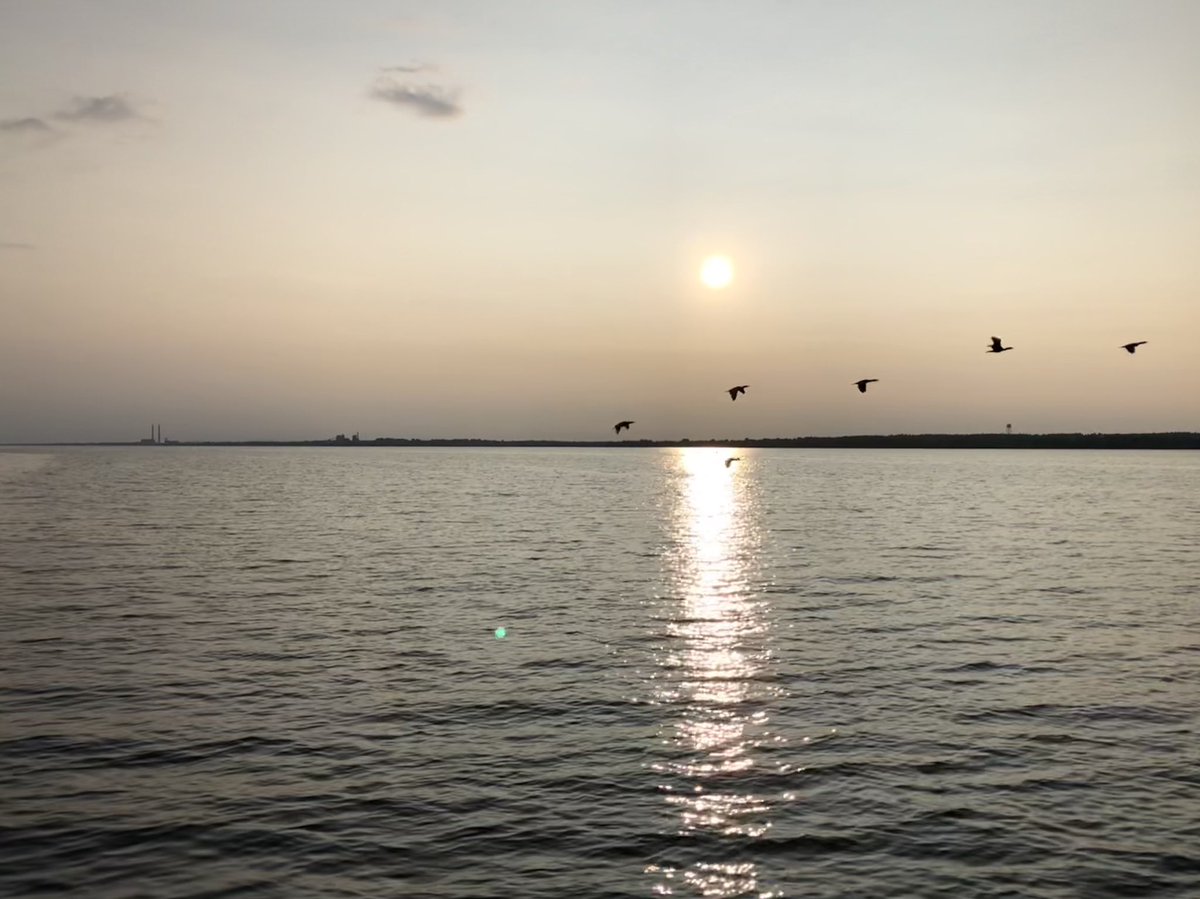 Sandy_Berg_'s tweet photo. No #sharknado in the forecast. #clearsailing #longsummernights #easternontario https://t.co/a62Z5hCcix