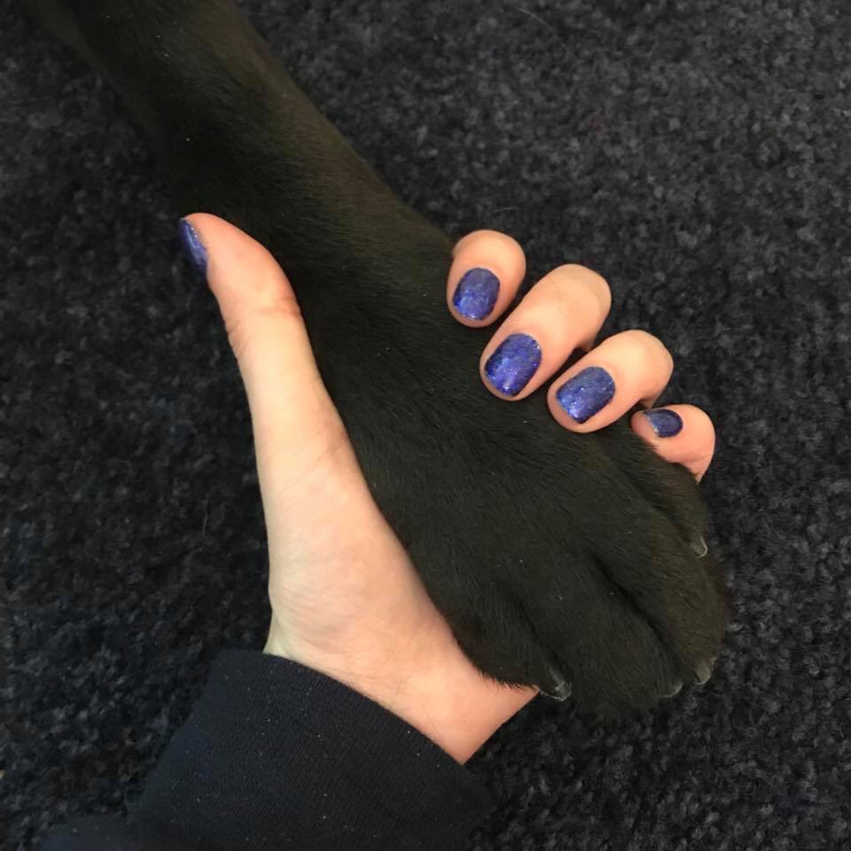 WinnerTwins's tweet photo. @BritWinner got her guide dog and he is perfect in every way.
We have been asked by @GDB_official to keep the match a secret for a few days. Stay tuned! #guidedog #visuallyimpaired #blind #disability #disabilityisnotinability #writerslife https://t.co/S6DtMoHtgH
