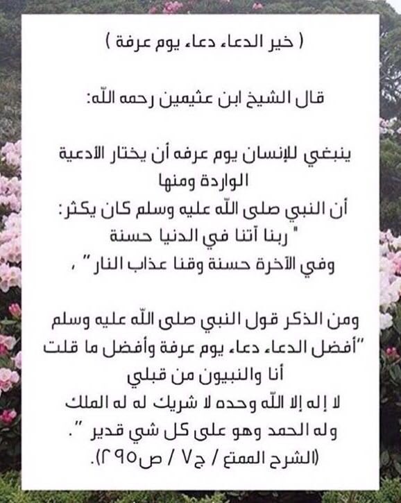 #يوم_عرفه