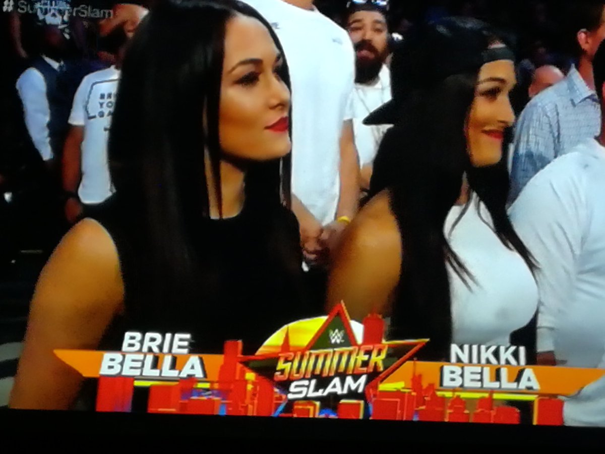 BastionDarren's tweet photo. RT if you want the @BellaTwins back in the @WWE #summerslam https://t.co/gzGpDa5wKL
