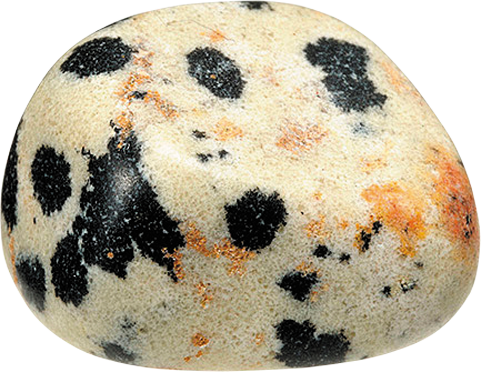 saneishobo's tweet photo. ダルメシアンジャスパー （Dalmatian Jasper）【主産地】インド、ブラジル【モース硬度】6.5～７

「地球の天然鉱石 24種類セット」は三栄書房から1,280円で全国書店で好評発売中！　#夏休み の #自由研究 にもどうぞ。https://t.co/XGOVdEyh3U https://t.co/PW2EHzxT6B