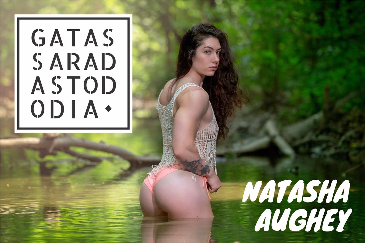 GSTD_'s tweet photo. A gata de hoje é a canadense Natasha Aughey que além de linda pega pesadíssimo nos treinos e se tornou sensação nas mídias sociais do Canadá. #GatasSaradas @GSTD_        https://t.co/t7wIfaofQz https://t.co/jsbkBXrYxJ
