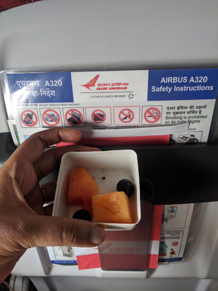 vandanakrishnan's tweet photo. @airindiain the "Pioneer of Indian aviation" served me a half-dead insect along with the fruits today. Terrible low point with regards to hygiene in catering. Not expected of our national carrier. Not acceptable. https://t.co/YirfYI66xz