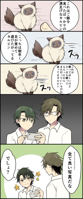 手塚国光　まとめ売り DlB-W4LUYAAAbKe.jpg:small