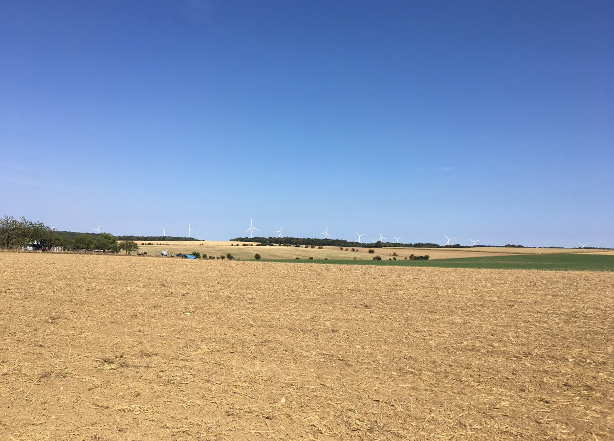 Micke Arana tweet media