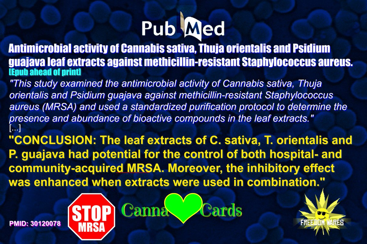 freedomwares501's tweet photo. https://t.co/l0bLvaI2Cq
"The leaf extracts of C. sativa, T. orientalis and P. guajava had potential for the control of both hospital- and community-acquired MRSA."
#AntimicrobialActivity #Cannabis #MethicillinResistantStaphylococcusAureus[#MRSA] #PlantExtracts #SynergisticEffect https://t.co/Kch4RxR14D