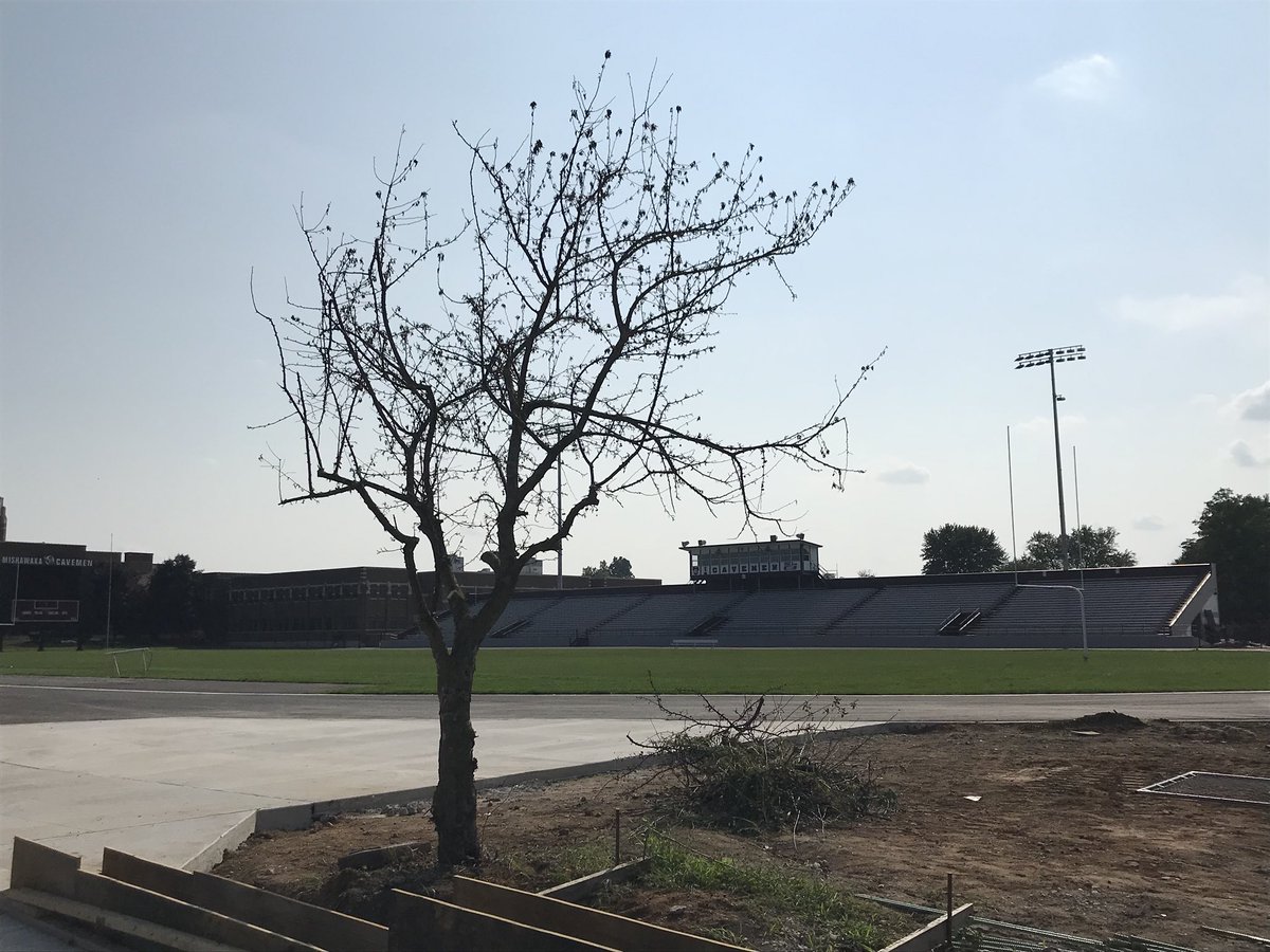 cavemensports's tweet photo. Did a little clean up of a very important tree.  The Mishawaka HS Class of ‘98 planted this in honor of Aaron Leyes.  It’s withstood a lot during construction projects.  Hopefully today’s #ActsOfService gives this Memorial new life.  @mishawakaGtrack @Cavemen1902 #MishawakaWay https://t.co/zSvtdqUman