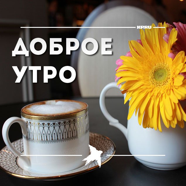Открытках, картинки доброе дождливое утро вторника
