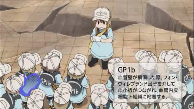 増やす 血小板