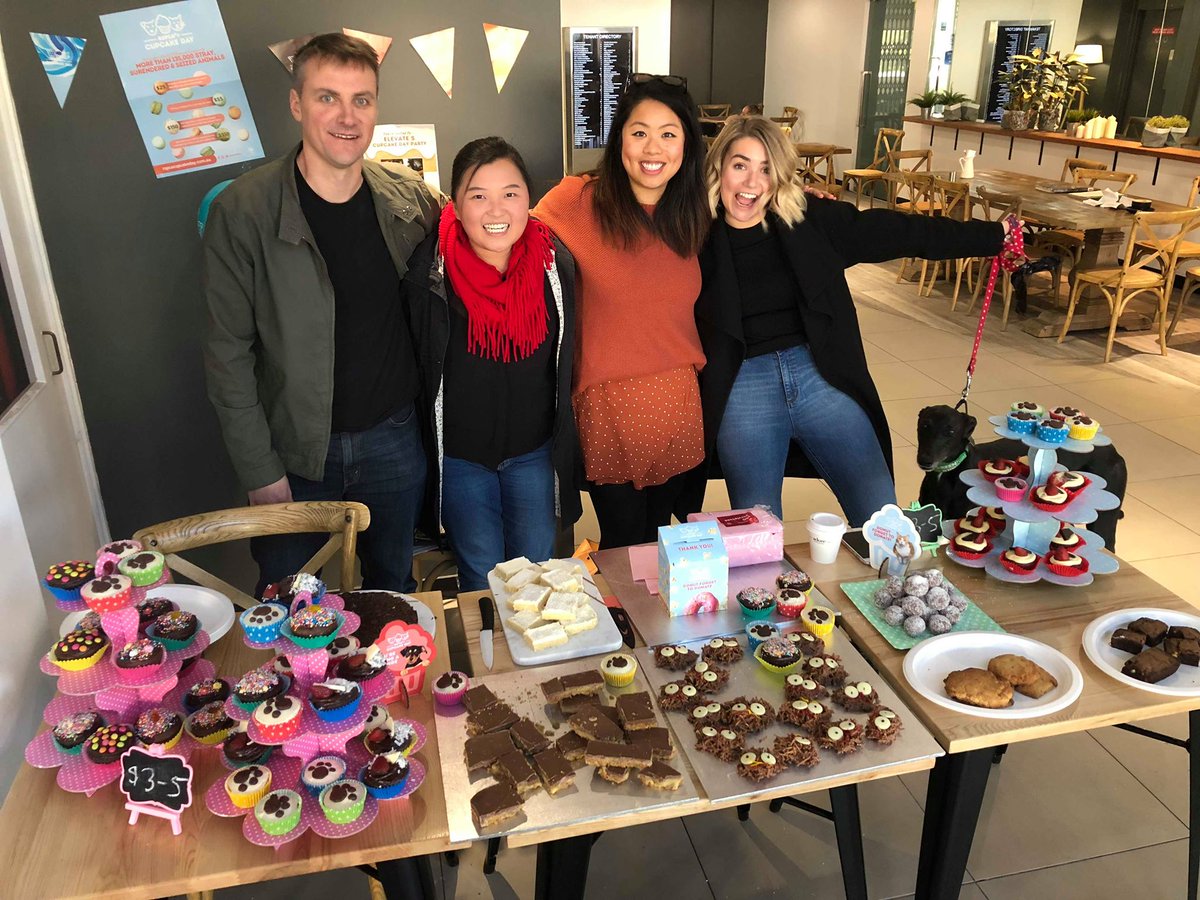 Baking to fight animal cruelty with special guest, Fonzie the Rescue Greyhound! #RSPCACupcakeDay