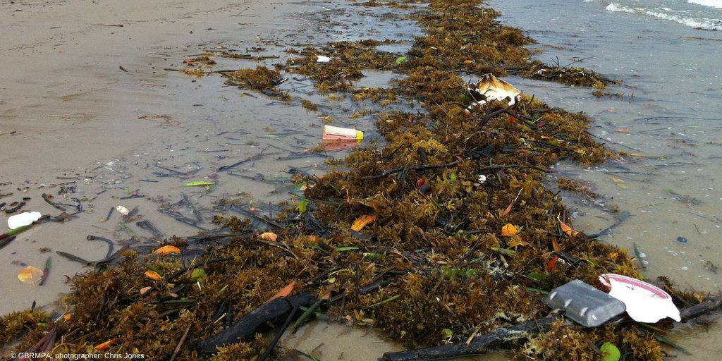 gbrmarinepark's tweet image. Today kicks off Keep Australia Beautiful Week 2018 and this year’s theme is marine litter. #DYK: about 10 million tonnes of litter end up in our oceans each year #lovethereef @KABNAHQ #KABWeek