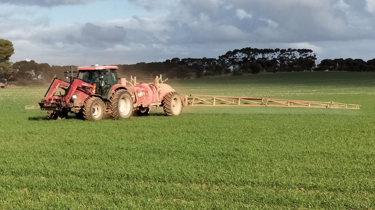 durumgrowers's tweet photo. Durum do you eat it, grow it or want to know more about it? Come along to the cropwalks & find out about it! https://t.co/XzJDGLJoP3 #durum #grains #SAGDA #cropwalks2018 #southernregion @GrainGrowersLtd @SAGrainTrust @theGRDC @waiteresearch @Imtrade @NufarmAustralia @GlencoreAus https://t.co/XXau6o1khc