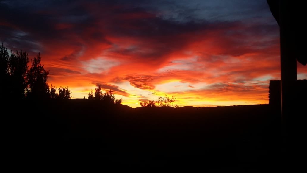SanbonaSafari's tweet photo. Fiery start to the week 🔥

#sanbona #safari #SouthAfrica https://t.co/abIaY9QKRY