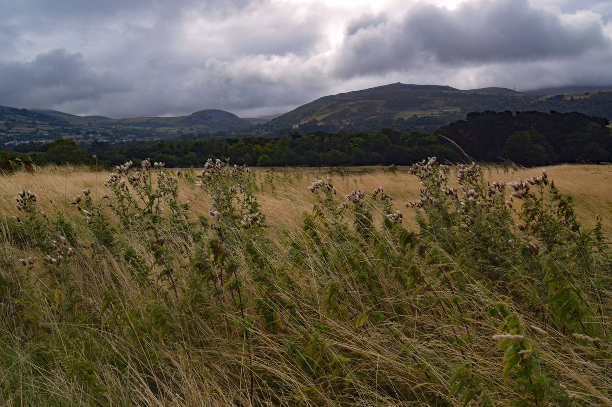 LordEdam's tweet photo. Stormy Carneddau

#welshphotography #WexMondays #fsprintmonday #weather #labdscape https://t.co/tNp3xoRoEX