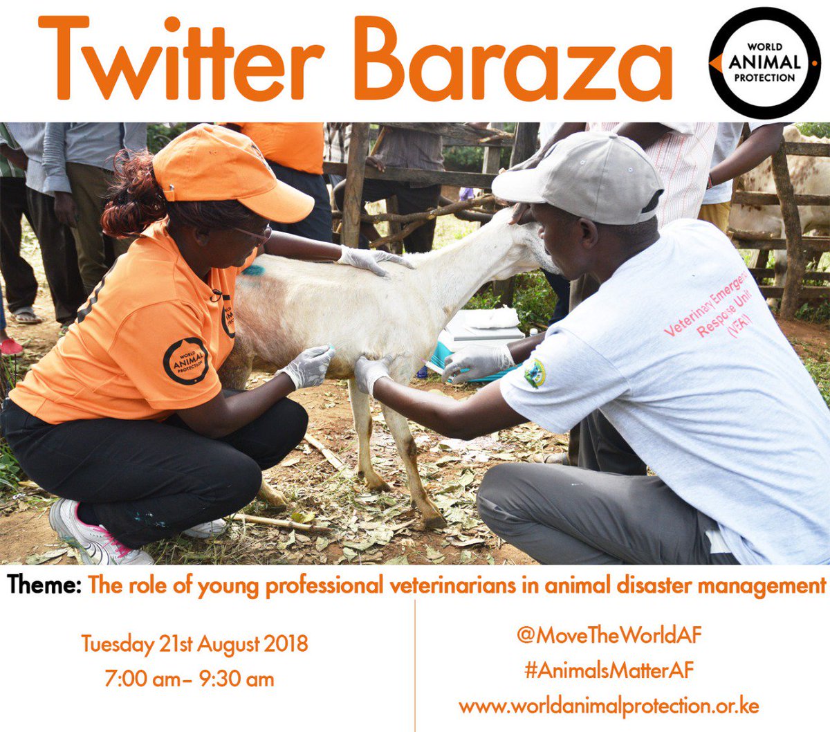 MoveTheWorldAF's tweet photo. If you don't respond fast during a disaster, #animals suffer from pain and in the worst case scenario, death. To be able to respond quickly to protect them, effectively and safely, we work with young veterinary professionals. Learn more from us tomorrow  #AnimalsMatterAF https://t.co/t0JGhe4dbZ