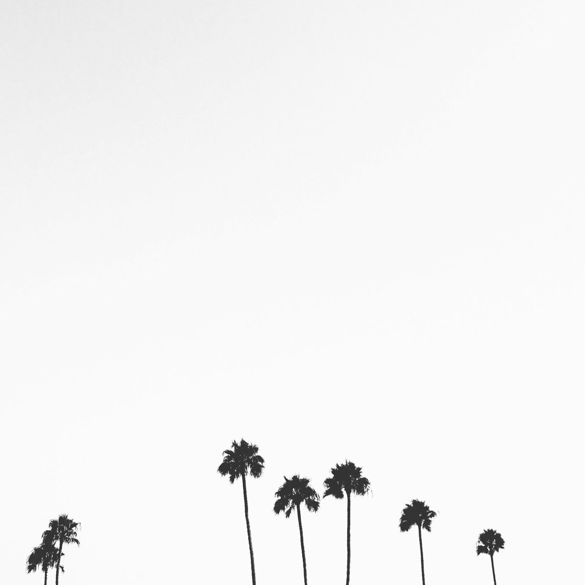 We love the way pilates makes us feel: infinite, connected, strong, powerful, calm... what words do you use to describe #pilates #feels? 
Monday classes/ great experiences await you: 
10am + 12pm w/ Emily (@emilygellpilates)
4pm w me (<a href="/thekarenlord/">Karen Lord</a>)
6/7pm w Ellye (@ellyewell)