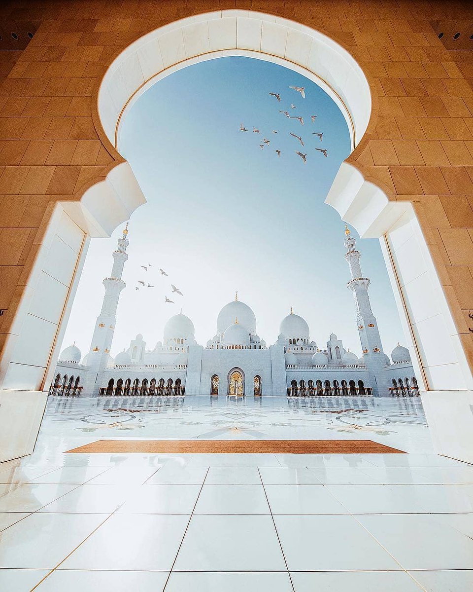 Travel Ka Baap tweet media