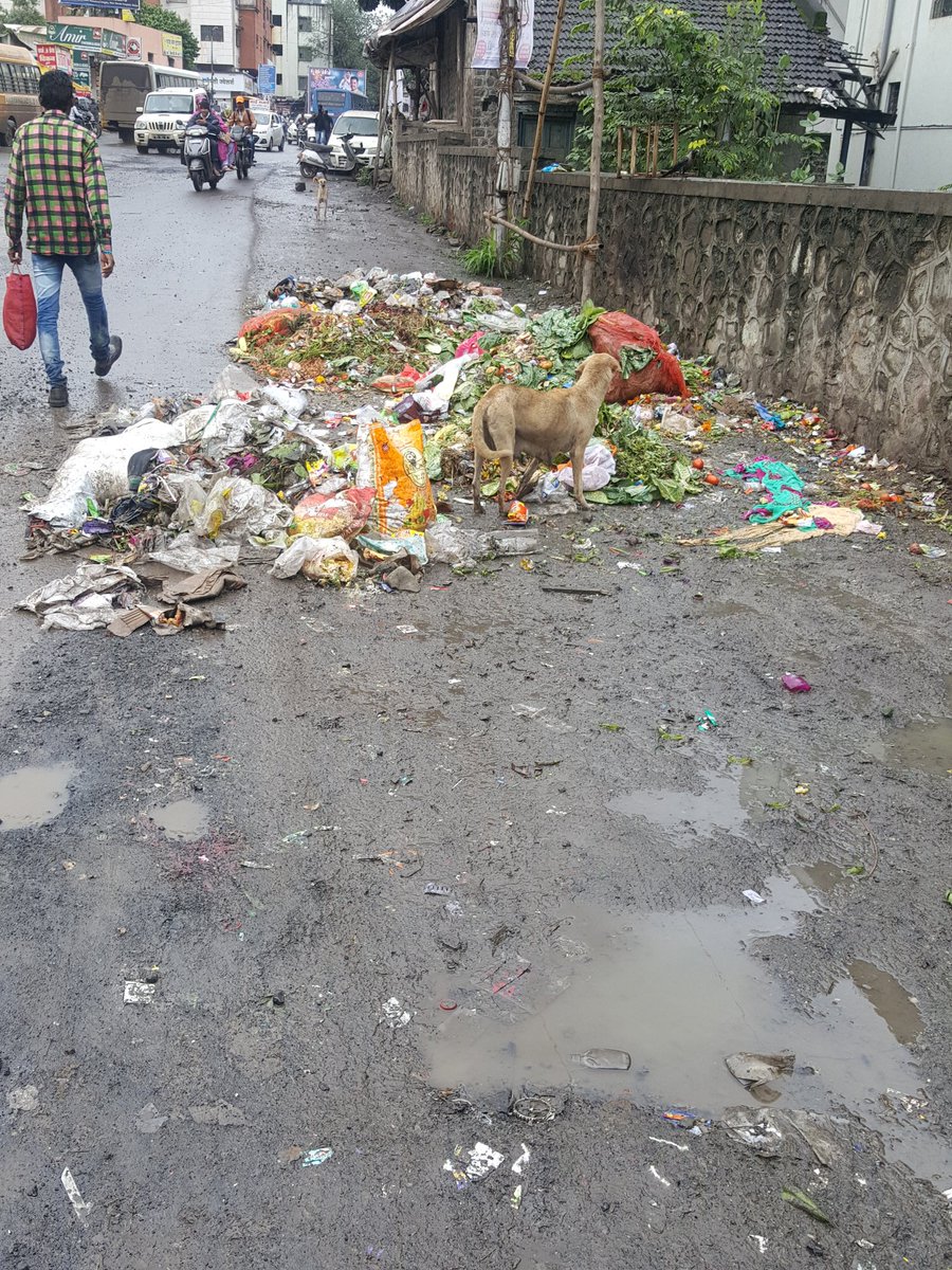 धायरी फाटा,सणस शाळेशेजारी,@MuktaTilak <a href="/PMCPune/">PMC Care</a> कृपया हा कचरा उचला जावा.विद्यार्थ्यांच्या आरोग्याची हेळसांड होतेय.<a href="/supriya_sule/">Supriya Sule</a> <a href="/AjitPawarSpeaks/">Ajit Pawar</a> <a href="/NCPspeaks/">Nationalist Congress Party - Sharadchandra Pawar</a>