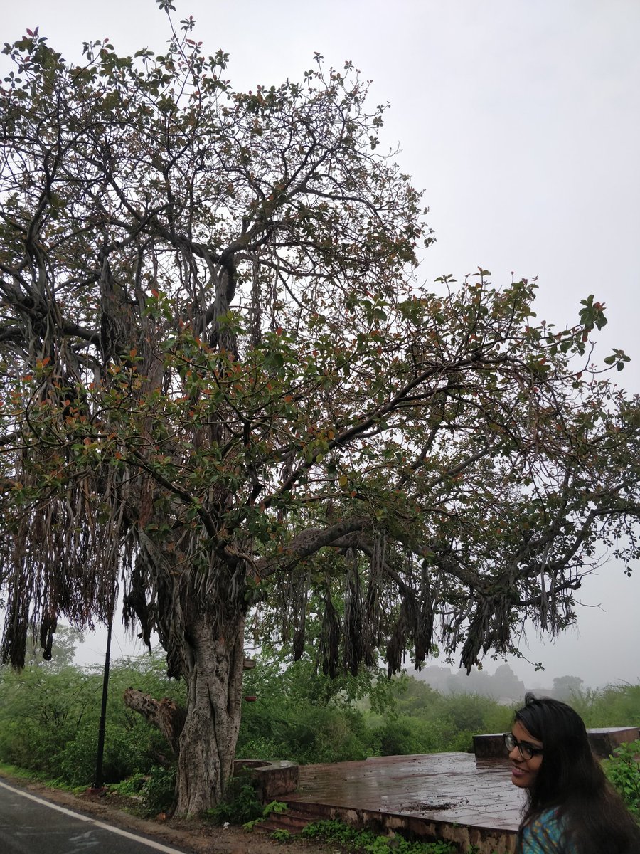 MisthiNeha's tweet photo. @Cashify_ #ClickyChallenge #WorldPhotographyDay #contestalert #contest #photography #WorldPhotographyDay2018 https://t.co/VgFhRGiNTH https://t.co/iNBw0zDTVz
