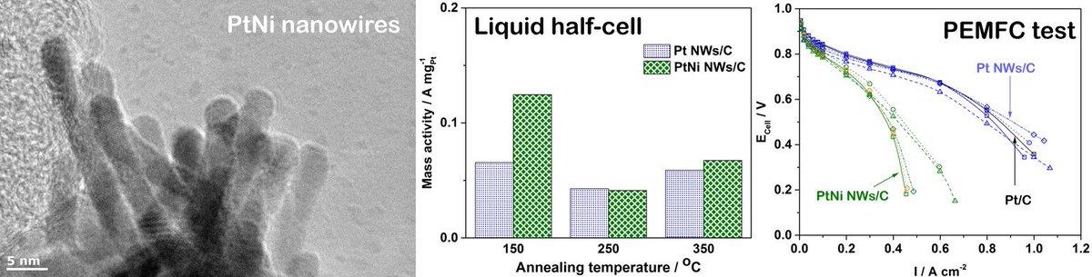 view antimicrobial peptides and innate