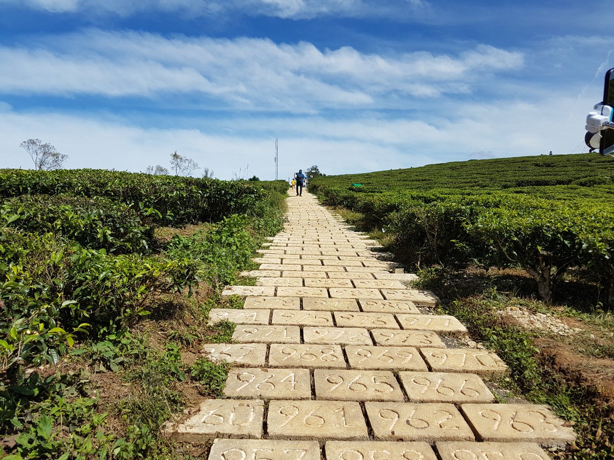 RanJune76's tweet photo. DaLat here we gone https://t.co/RYTfo0lWCM