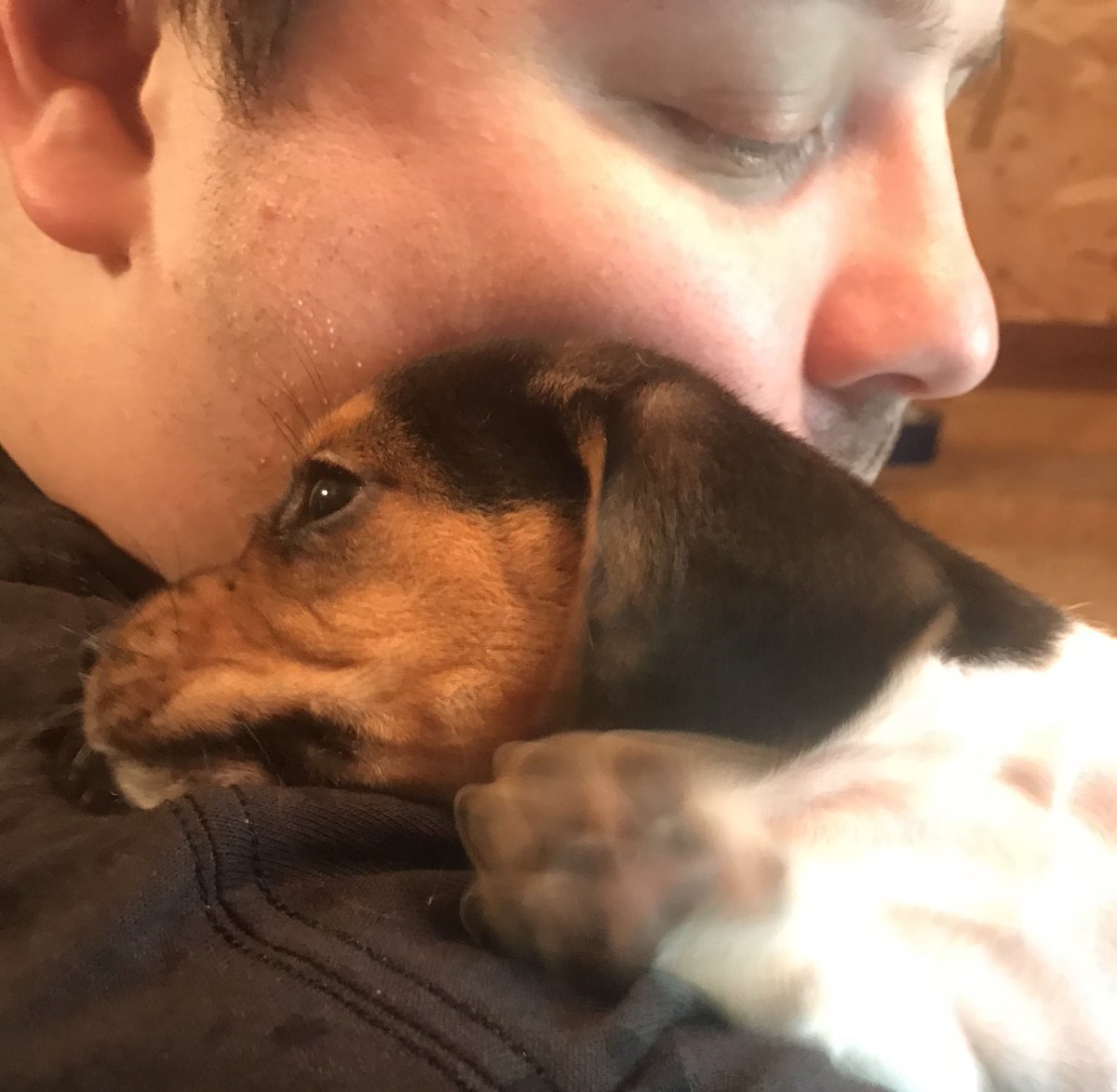 Alyssa_Marie514's tweet photo. In just 6 days our whole world is going to change. Can’t wait to bring this angel of a pup who already loves her daddy home with us! @Larrybob66 https://t.co/87TS4cKD6Z