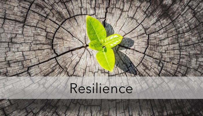 rasamis_974's tweet photo. "The capacity toprepare for disruption recover from shocks and stresses and adapt and grow from a disruptive experience ! "
#good_week #monday #go https://t.co/OQ7s6HttqP