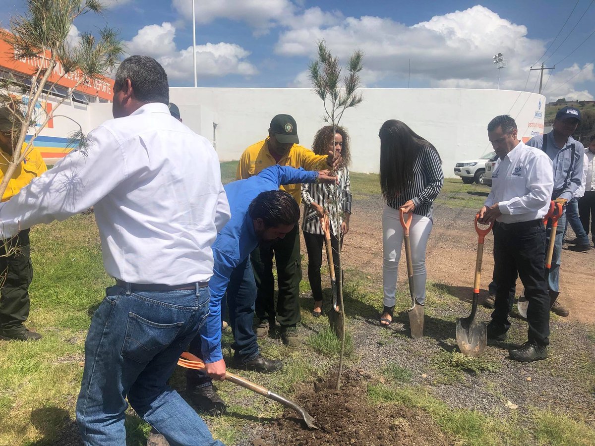 YolandaInmude's tweet photo. Se iniciaron trabajos de Reforestación en la Unidad Deportiva 450 #INMUDE, se reafirma el compromiso de la Administración Municipal con el cuidado del medio ambiente. ❤️🌳🌱🌿
Gracias a todos por su colaboración.

#Durango2018 https://t.co/RNJwns21bx