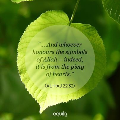 #Muslim tweet media