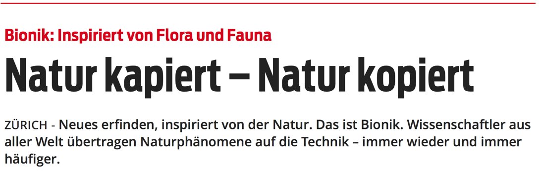 Shift_Zurich's tweet photo. Check out this article about #bionics and @Shift_Zurich in yesterday’s @Blickch (in German)
https://t.co/O0yLG0qoy6 https://t.co/qbBCfpsWaC