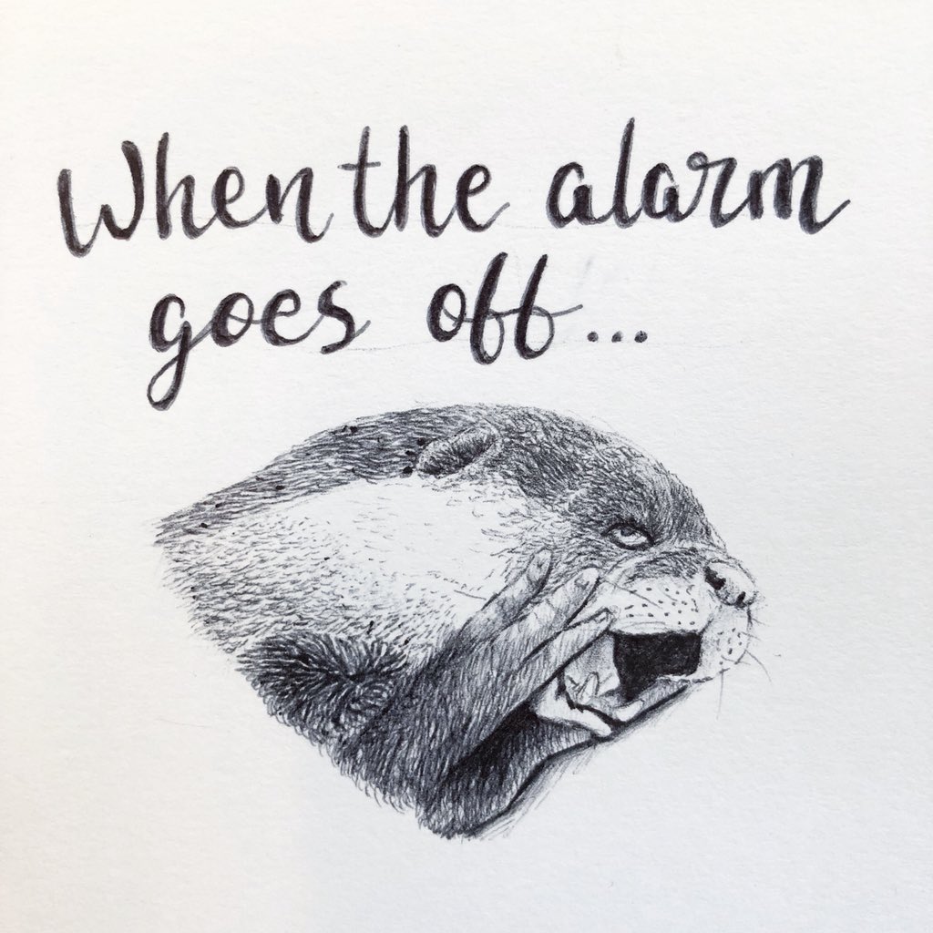 TCArt0's tweet photo. My face this morning...
😱
.
.
#art #biroart #doodle #drawing #alarmcall #horror #otter #traindoodle #funny #cute https://t.co/mg1jKXPoCq