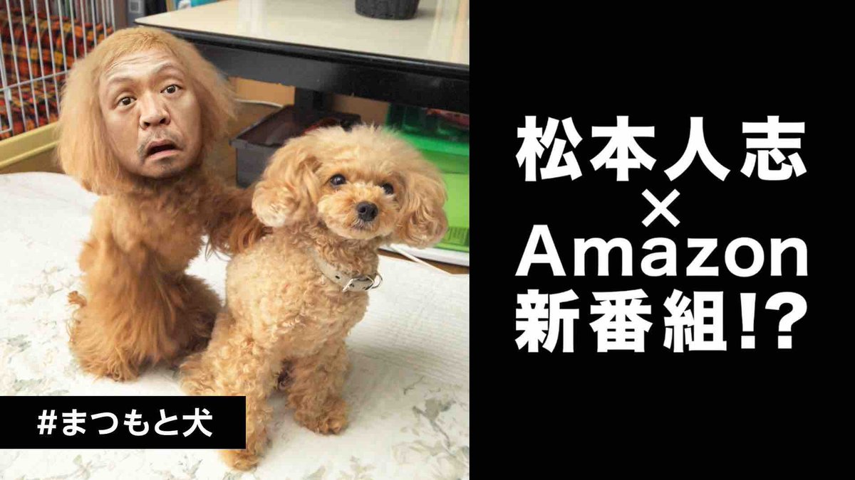 Amazonプライムビデオ新企画の まつもと犬 中には苦手な人も まつもと犬ただただ気持ち悪い なぜこれが企画として通ったのか理解できない プロモーションでtlに流れてくる仕様なのも不快 Togetter