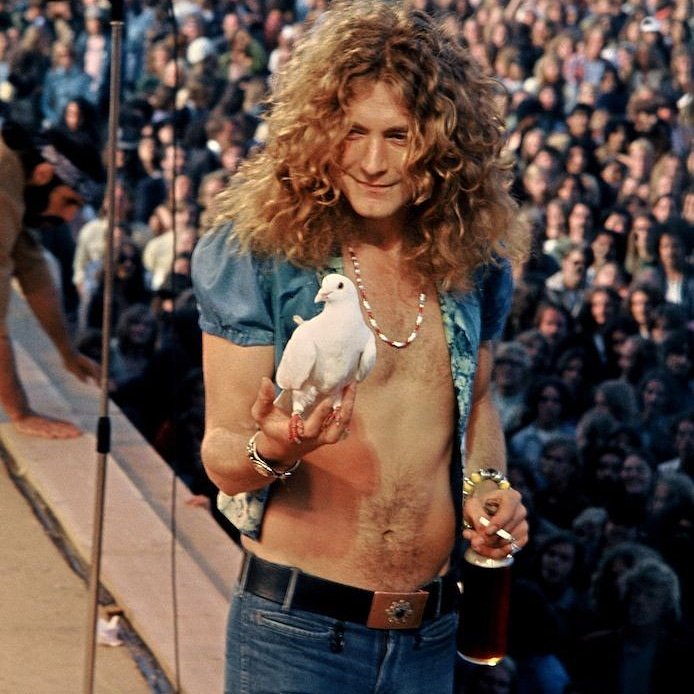 Happy Birthday Robert Plant. You beautiful being.    