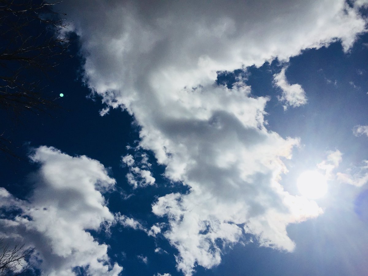 kaylinlevens15's tweet photo. #mycaptures
Nature
#mycput https://t.co/GL7FRLfCmw